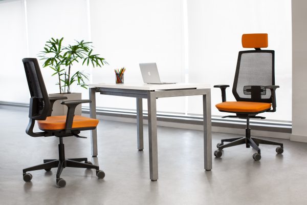 Multi Tela Presidente - Image 6