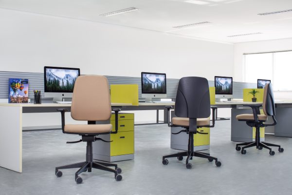 B-Up Presidente - Image 6