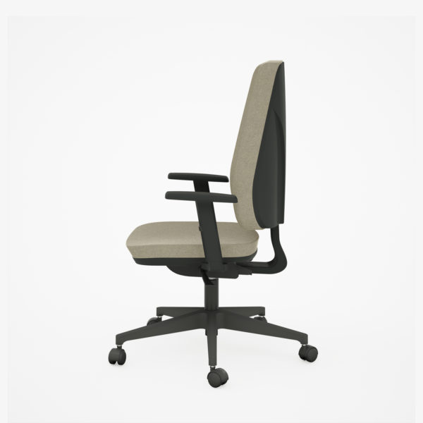 B-Up Presidente - Image 3