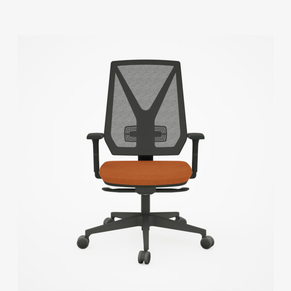 Home Diretor - Image 2