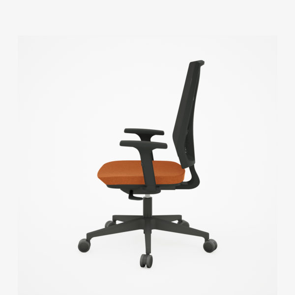 Home Diretor - Image 3