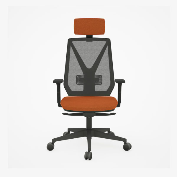 Home Presidente - Image 2