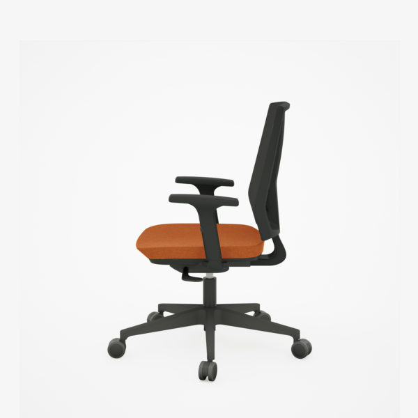 Home Staff - Image 4