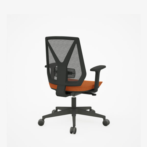 Home Staff - Image 5